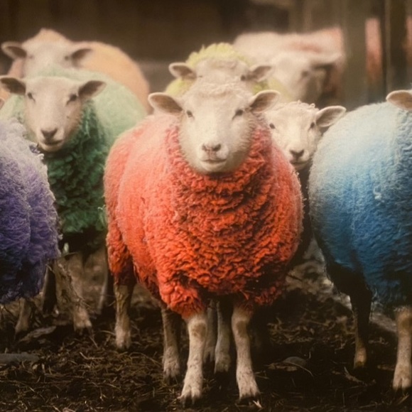 Meet your Posher, Eve - Picture 1 of 1